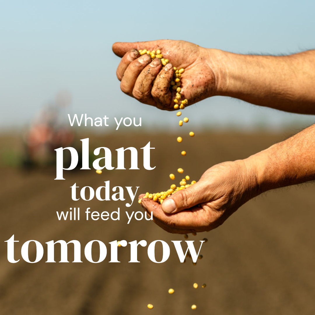 plant your seeds carefully